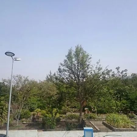 Wellness Bungalow Maspalomas * マスパロマス